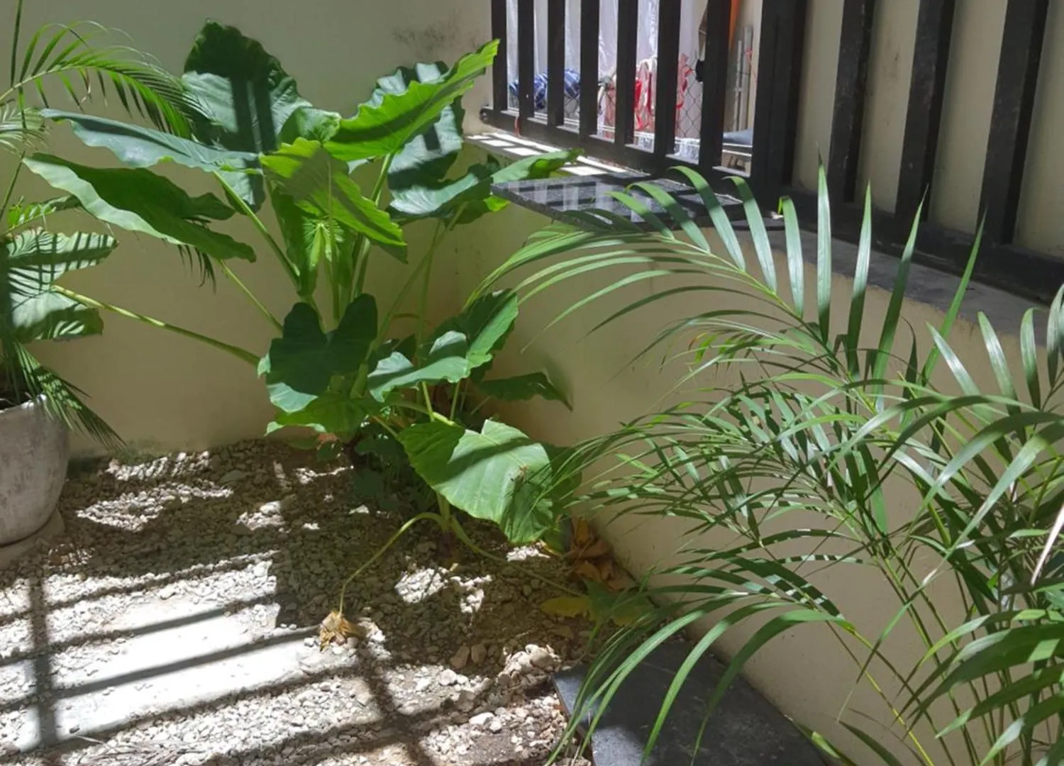 Casa Girasol Tulum Apartment Mexico